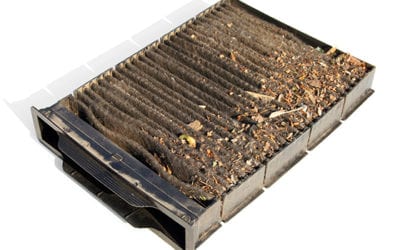 Cabin Air Filters – Why They Should be Changed on a Regular Basis